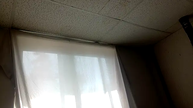 Armyexhibitionistvet online show from April 2026 07:20:01 PM