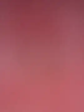 Armyexhibitionistvet online show from May 2026 11:15:01 AM