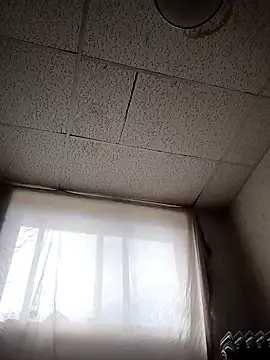 Armyexhibitionistvet online show from April 2026 05:52:01 PM