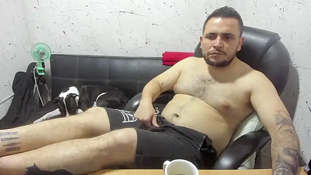  ace ventura online show from February 2026 04:13:02 AM