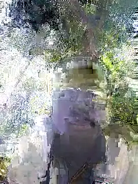 Javan  online show from February 2026 11:05:02 AM