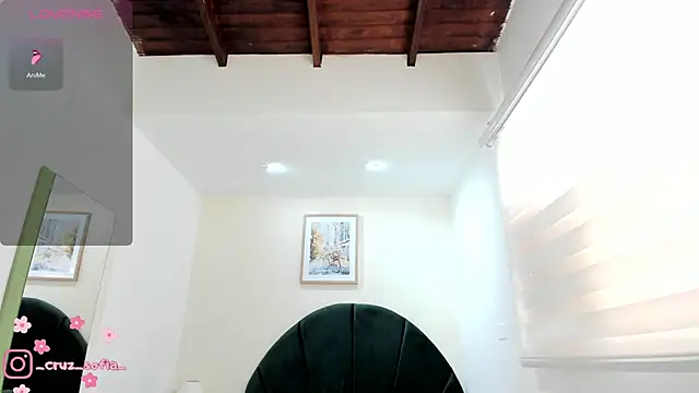Snapshot of _AlejaCruz_ chatting on June 2026 07:36:01 PM AlejaCruz online show from June 2026 07:36:01 PM