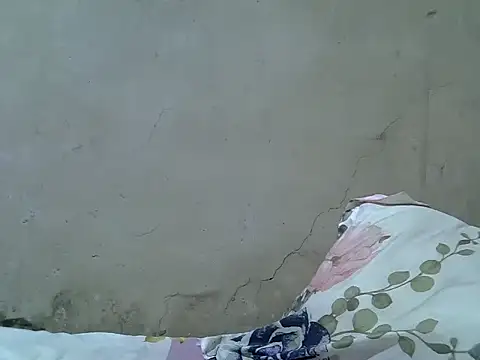 Snapshot of hairyswt_pus chatting on November 2025 12:31:01 AM hairyswt pus online show from November 2025 12:31:01 AM