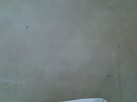 Snapshot of hairyswt_pus chatting on November 2025 10:04:02 AM hairyswt pus online show from November 2025 10:04:02 AM