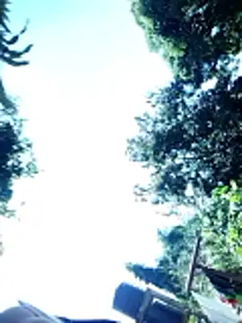 hairyswt pus online show from March 2026 07:32:02 AM