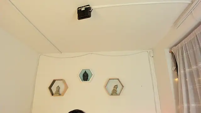 Paloma victory online show from November 2025 09:30:02 PM