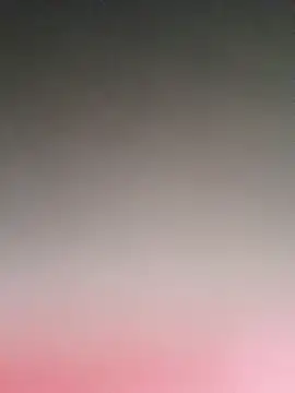 pnut 20 online show from December 2025 03:54:01 AM