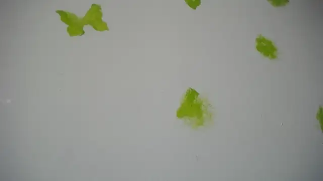 RACHELL  HOT online show from September 2025 06:36:01 PM