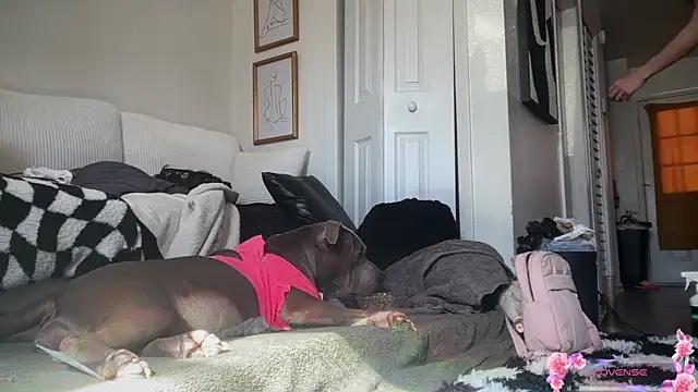 Snapshot of yummyrina chatting on February 2026 07:33:01 PM yummyrina online show from February 2026 07:33:01 PM