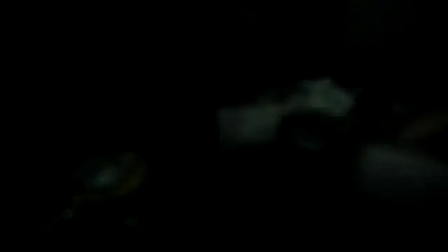 Barebackheat online show from October 2025 11:33:01 AM