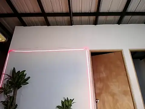 valeng doll online show from February 2025 08:22:02 AM