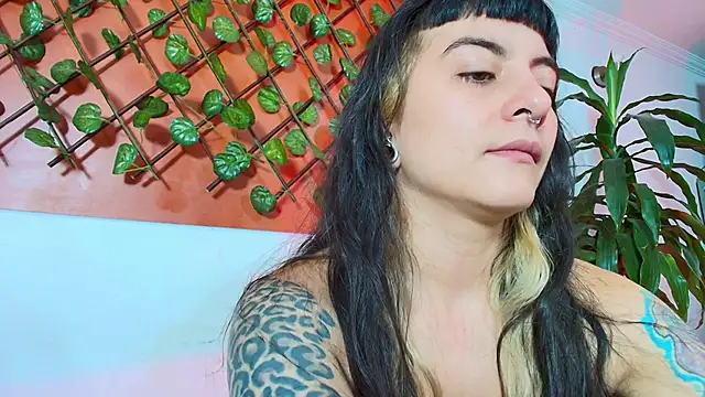 Naughty Kittenm online show from April 2026 11:17:01 AM