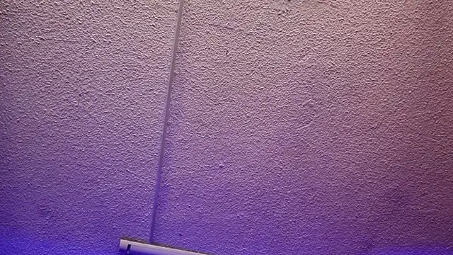 Julieta Russell online show from December 2025 11:42:01 AM