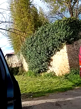 BZHsex online show from March 2025 03:52:01 PM