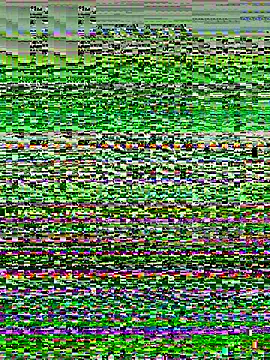 Sunbelxx online show from December 2025 09:47:02 AM