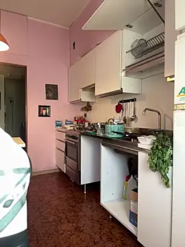 Sunbelxx online show from November 2025 08:51:02 AM