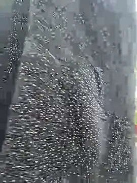 Ishikarana online show from March 2026 12:37:02 AM