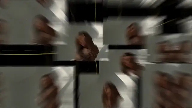 seilyfox online show from September 2025 07:47:01 AM