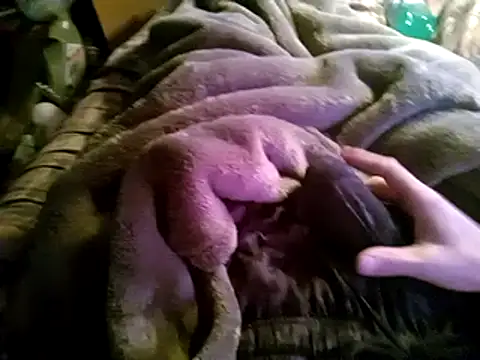 Snapshot of hothippie420 chatting on March 2025 04:24:02 PM hothippie420 online show from March 2025 04:24:02 PM