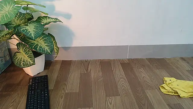 Linn 97 online show from January 2025 10:52:02 PM