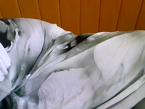 Snapshot of nastygirl- chatting on November 2025 09:30:02 AM nastygirl- online show from November 2025 09:30:02 AM