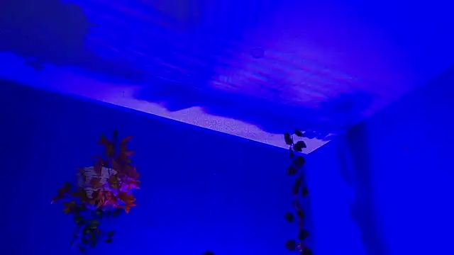 Hellen dumont online show from September 2025 02:22:02 AM