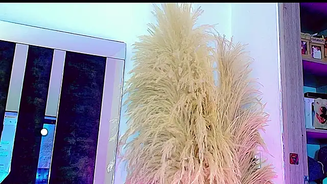 honey skin online show from March 2026 04:25:01 PM