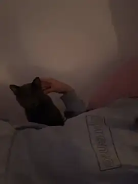 Ag4ta  online show from February 2026 11:12:01 PM