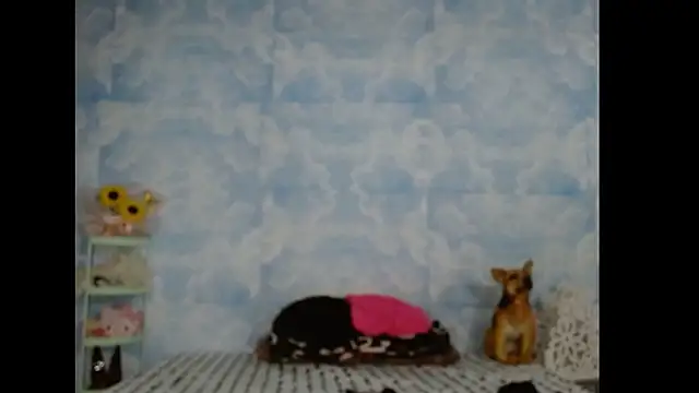 Valerii Gil online show from March 2026 07:37:02 AM