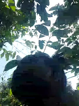 hotpussy-11 online show from October 2025 10:48:01 AM