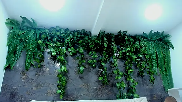 alice greco online show from November 2025 05:02:01 PM