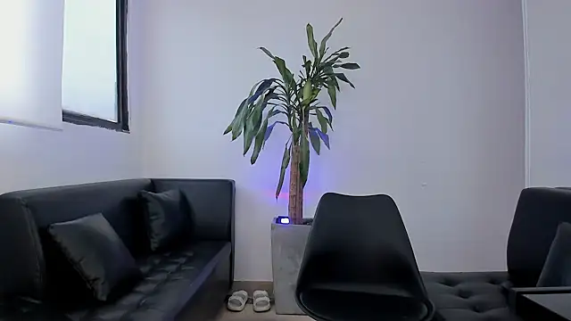 alice greco online show from February 2026 12:54:02 PM