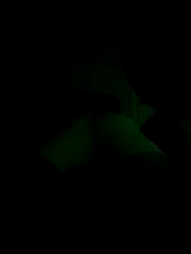 lRainbowBoy online show from November 2025 12:25:01 AM