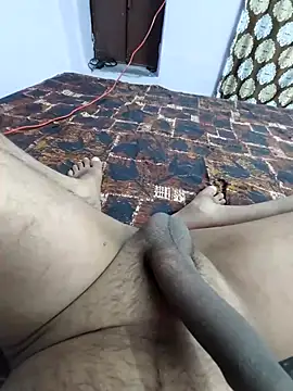 studboy1111 online show from February 2026 02:33:01 AM