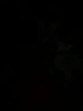 Snapshot of Shyboy817 chatting on February 2026 08:52:01 PM Shyboy817 online show from February 2026 08:52:01 PM