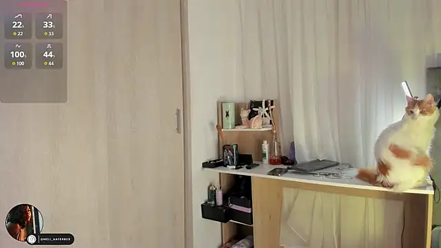 Melina Ferrer1 online show from December 2025 11:47:01 AM