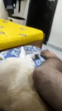 Believerrrr online show from February 2025 04:59:01 AM