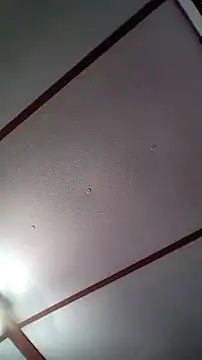 xDestineeXX online show from December 2024 02:31:02 AM