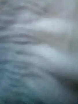 Sarita 7 online show from March 2025 07:03:02 AM