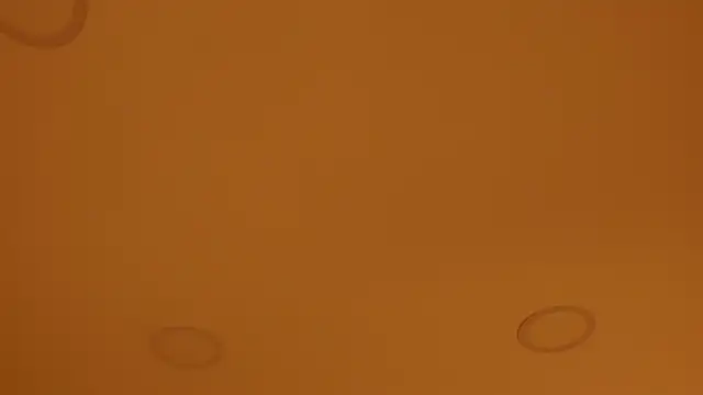 nakamura sam online show from April 2026 10:06:01 AM