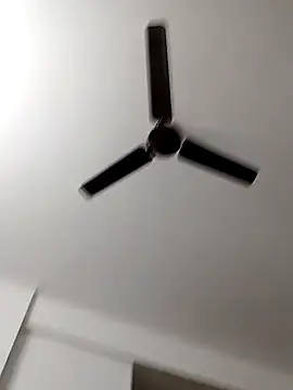 Camieon dre online show from October 2025 06:12:02 AM