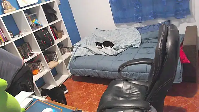 ravingr4d4 online show from February 2026 12:18:01 AM