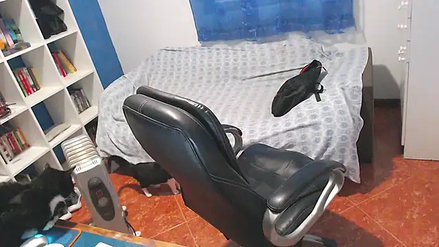 ravingr4d4 online show from February 2026 02:15:01 PM