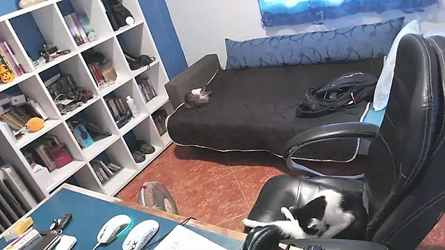 ravingr4d4 online show from October 2025 03:22:02 PM