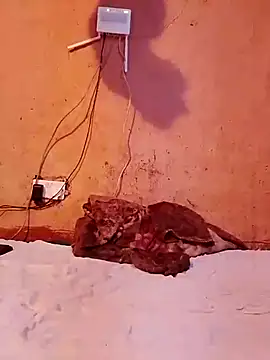 cute naimah online show from December 2025 06:17:01 PM