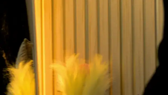 Snapshot of MiaCharm chatting on February 2026 09:36:02 PM MiaCharm online show from February 2026 09:36:02 PM