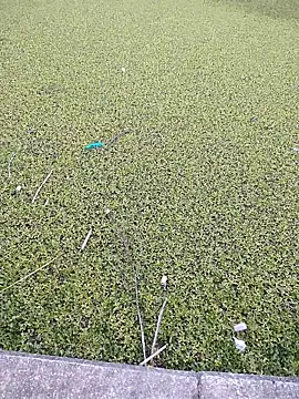 Snapshot of Eduardoxxx51 chatting on December 2025 10:20:02 PM Eduardoxxx51 online show from December 2025 10:20:02 PM