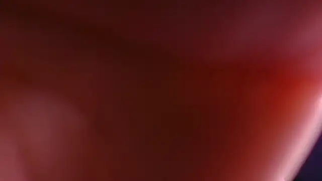 violett lo online show from December 2025 11:57:01 AM