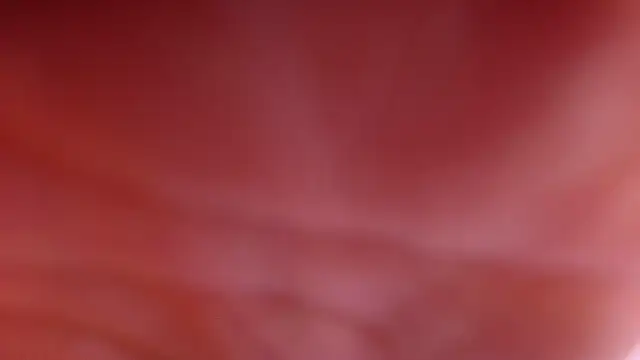 violett lo online show from February 2026 03:06:01 AM