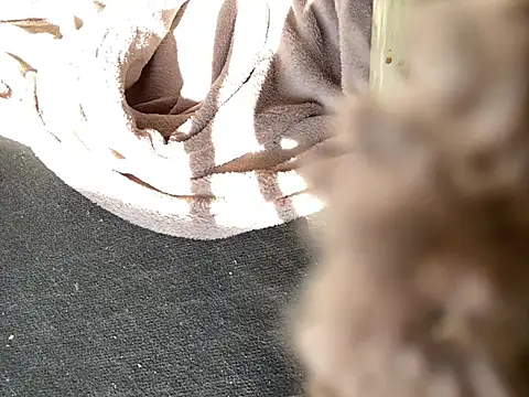 Fuckbuddy36 online show from March 2025 12:17:01 PM